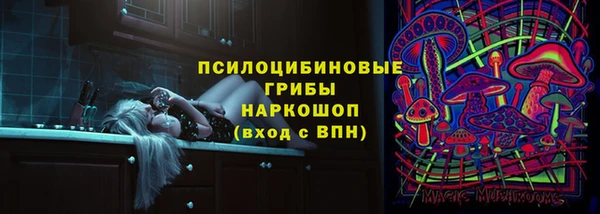 стаф Абдулино