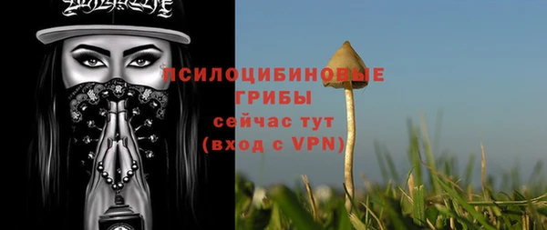 ПСИЛОЦИБИНОВЫЕ ГРИБЫ Белая Холуница