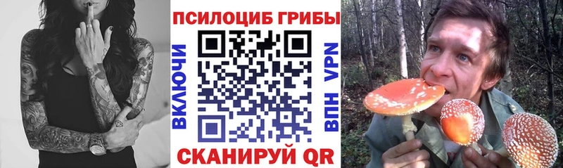 Галлюциногенные грибы Magic Shrooms  Щёлкино 
